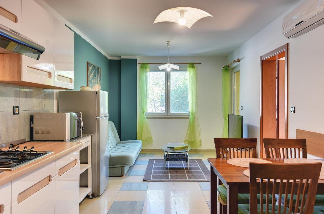Apartment Universe